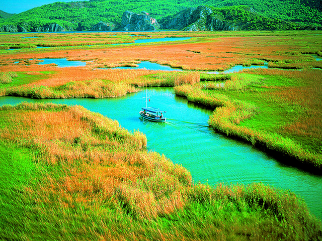 Köyceğiz Dalyan Turu