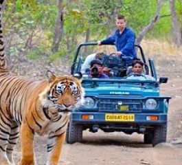 Altın Üçgen ve Ranthambore Kaplan Milli Parkı Turu 5 Gece 6 Gün